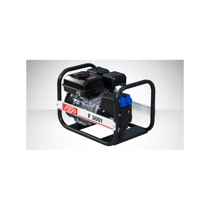 FOGO F 3001 single-phase generator set | Great Price | Online Store - Norwit.pl