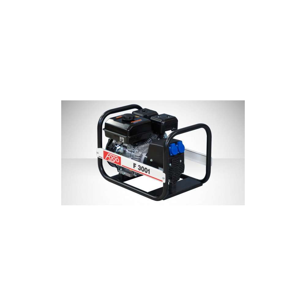 FOGO F 3001 single-phase generator set | Great Price | Online Store - Norwit.pl