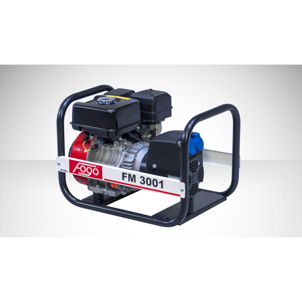 FOGO FM 3001 single-phase generator set | Great Price | Online Store - Norwit.pl