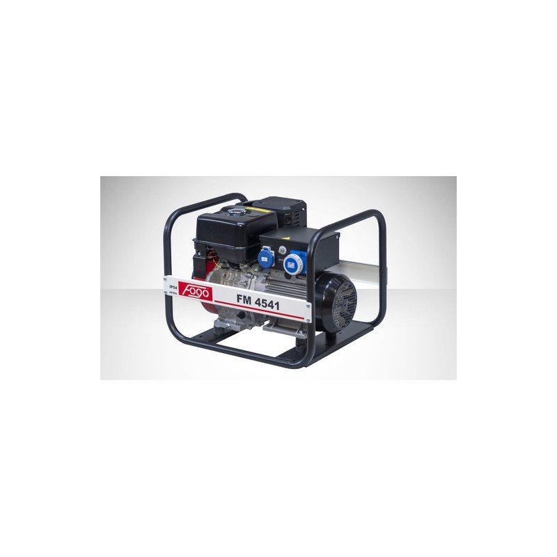 FOGO FM 4541 single-phase generator set | Great Price | Online Store - Norwit.pl