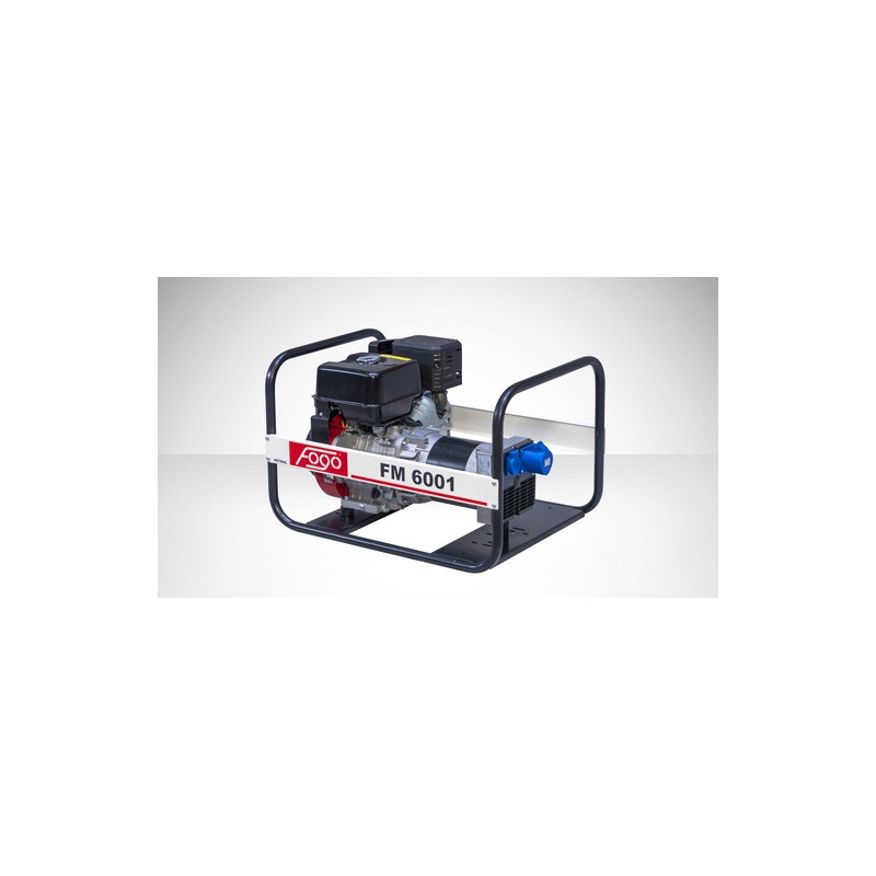 FOGO FM 6001 single-phase generator set | Great Price | Online Store - Norwit.pl