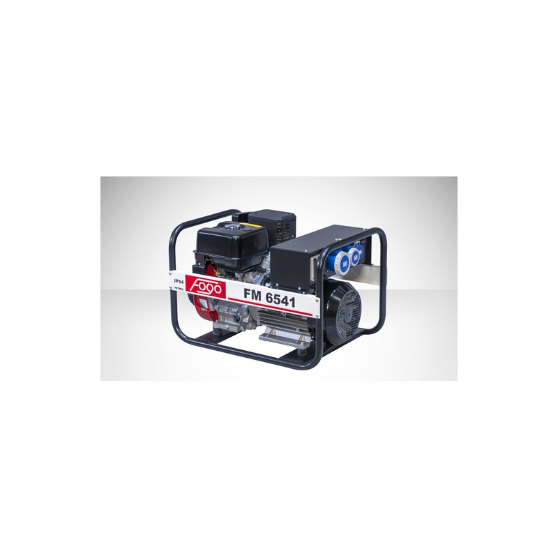 FOGO FM 6541 single-phase generator set | Great Price | Online Store - Norwit.pl