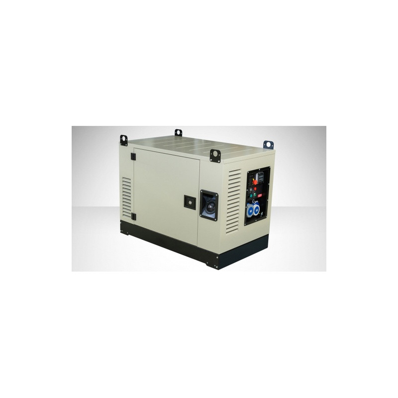 FOGO FV 17001 CRA single-phase generator set | Great Price | Online Store - Norwit.pl