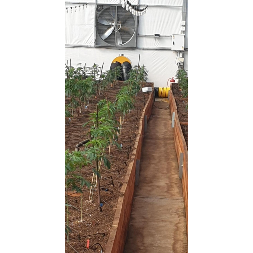 Master BV 400 oil heater with exhaust outlet | Great Price | Online Store - Norwit.pl