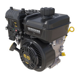Briggs&Straton VANGUARD internal combustion engine - 6,5HP 62mm x 19,05mm | Great Price | Online Store - Norwit.pl