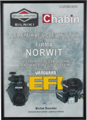 Certyfikat Briggs & Stratton EFI